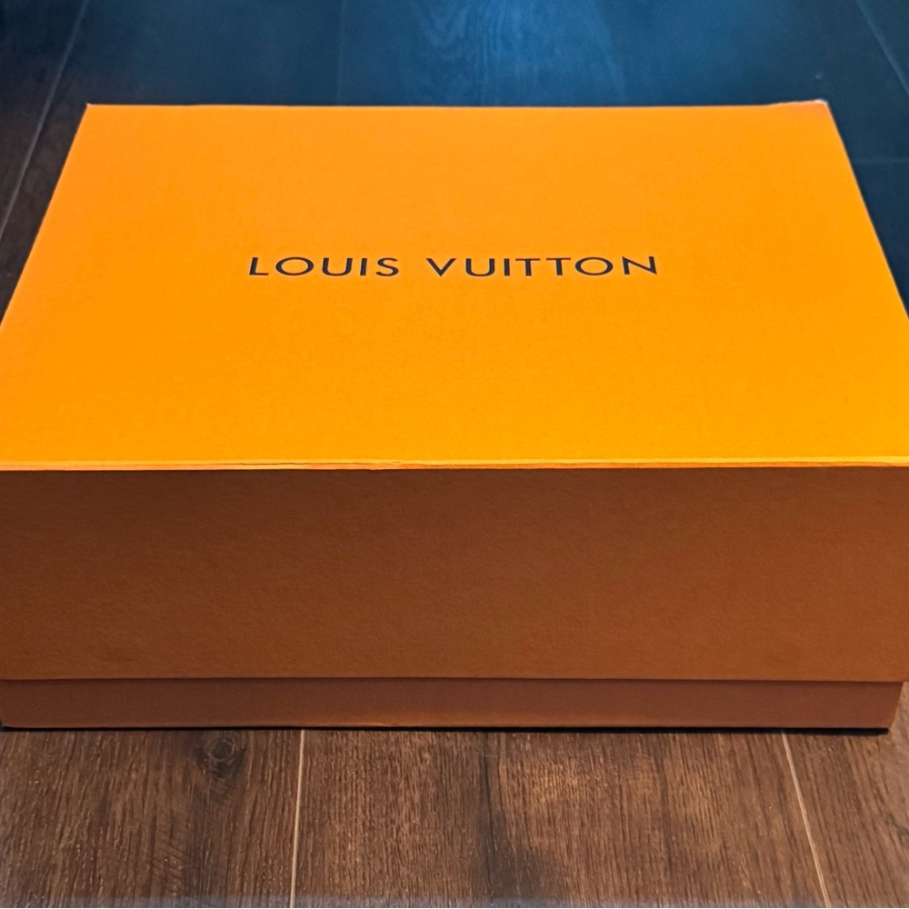 Louis Vuitton Large Box & Bag